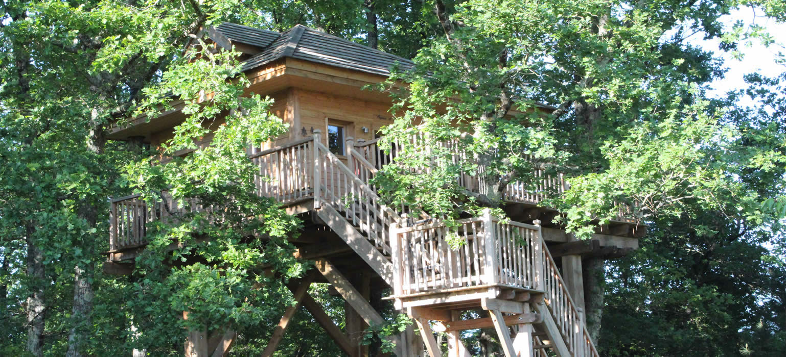 Cabane des chênes haut perchée