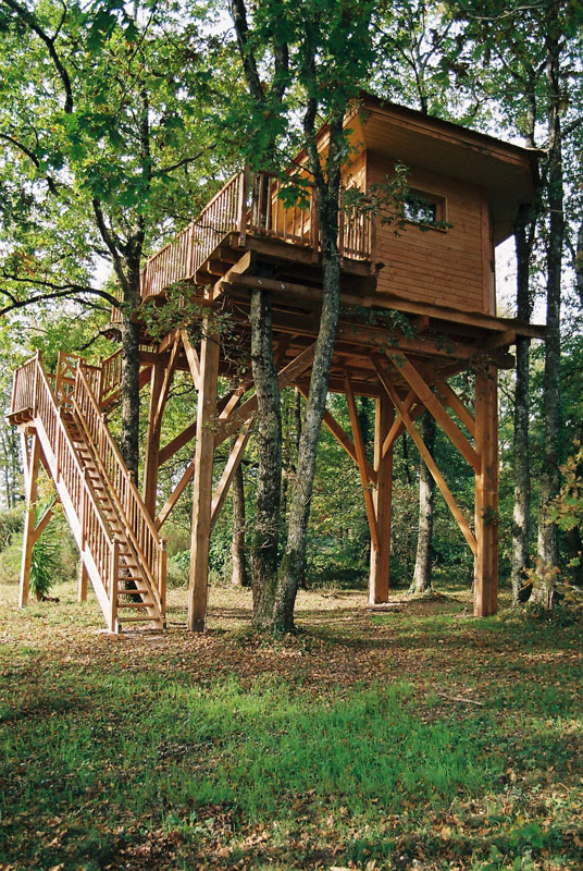 Cabane sur sa plateforme en bois